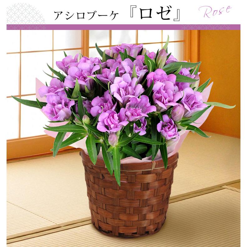八重咲き りんどう 2