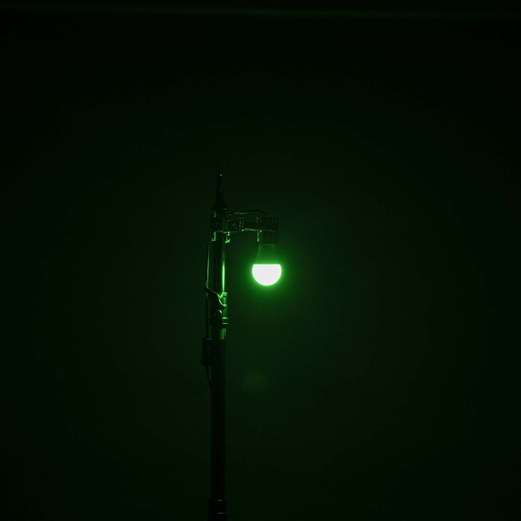スマート電球 7