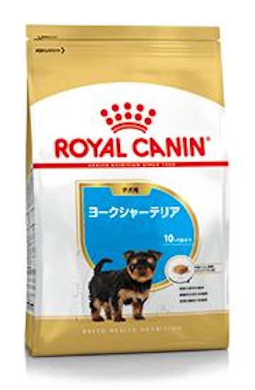 ヨークシャーテリア 子犬用 1