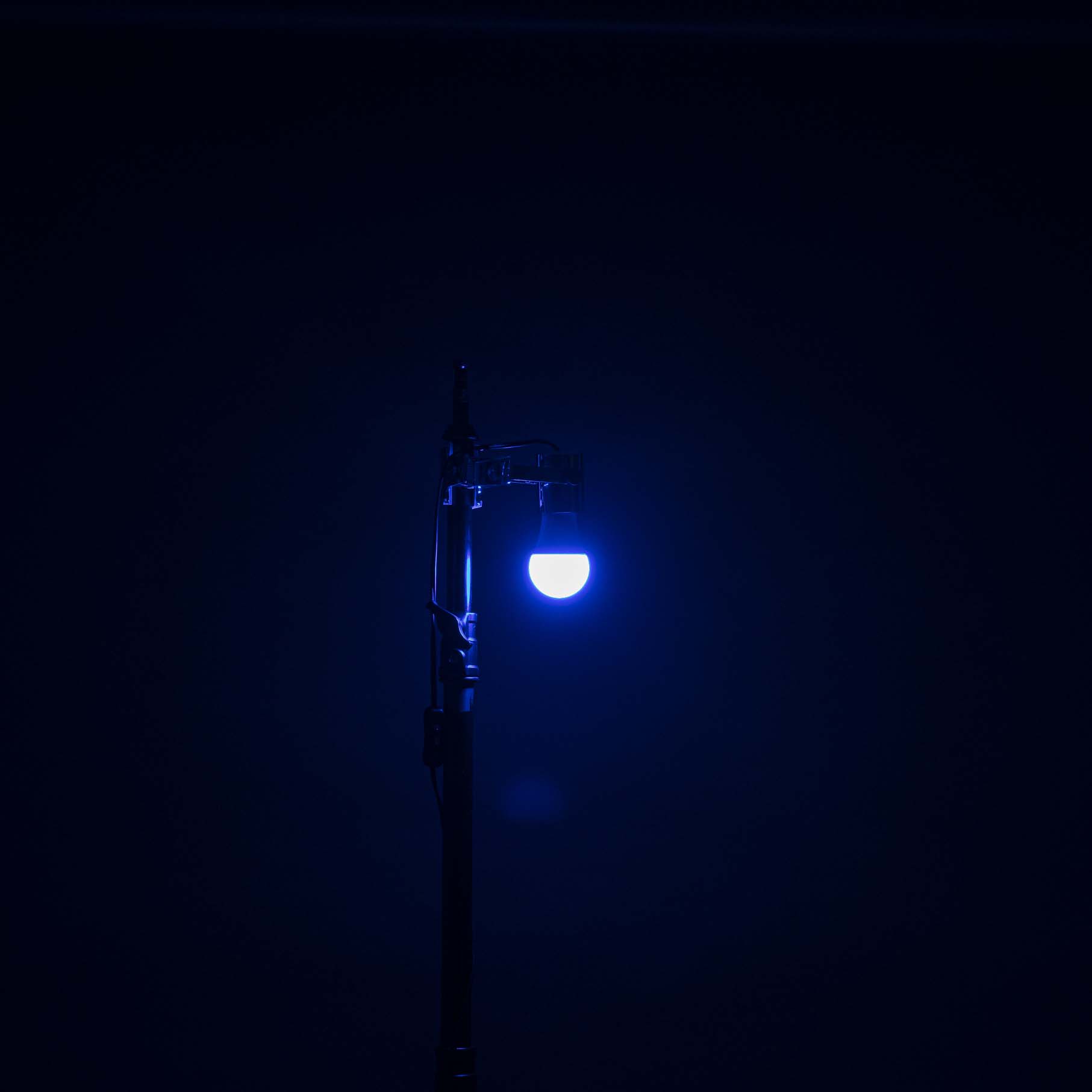 スマート電球 8