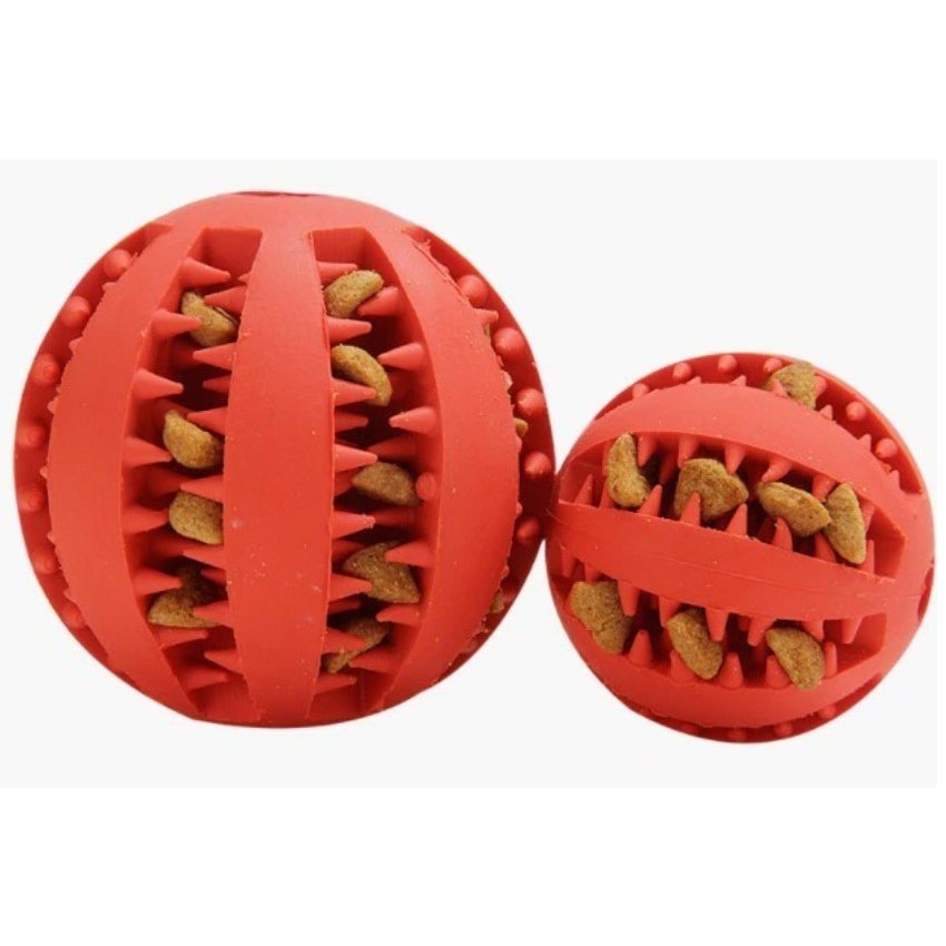 21年 犬用歯磨きおもちゃのおすすめ人気ランキング10選 Mybest