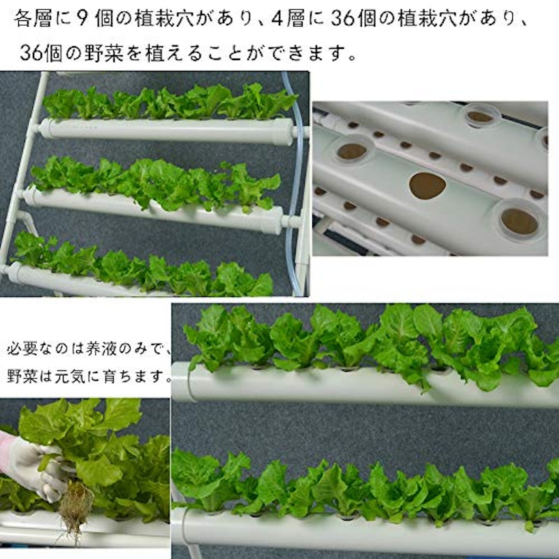 水耕栽培キット 5