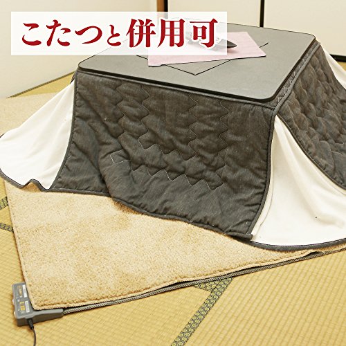 ホットカーペット ベーシック 6