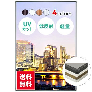 イレパネビューカバー 1