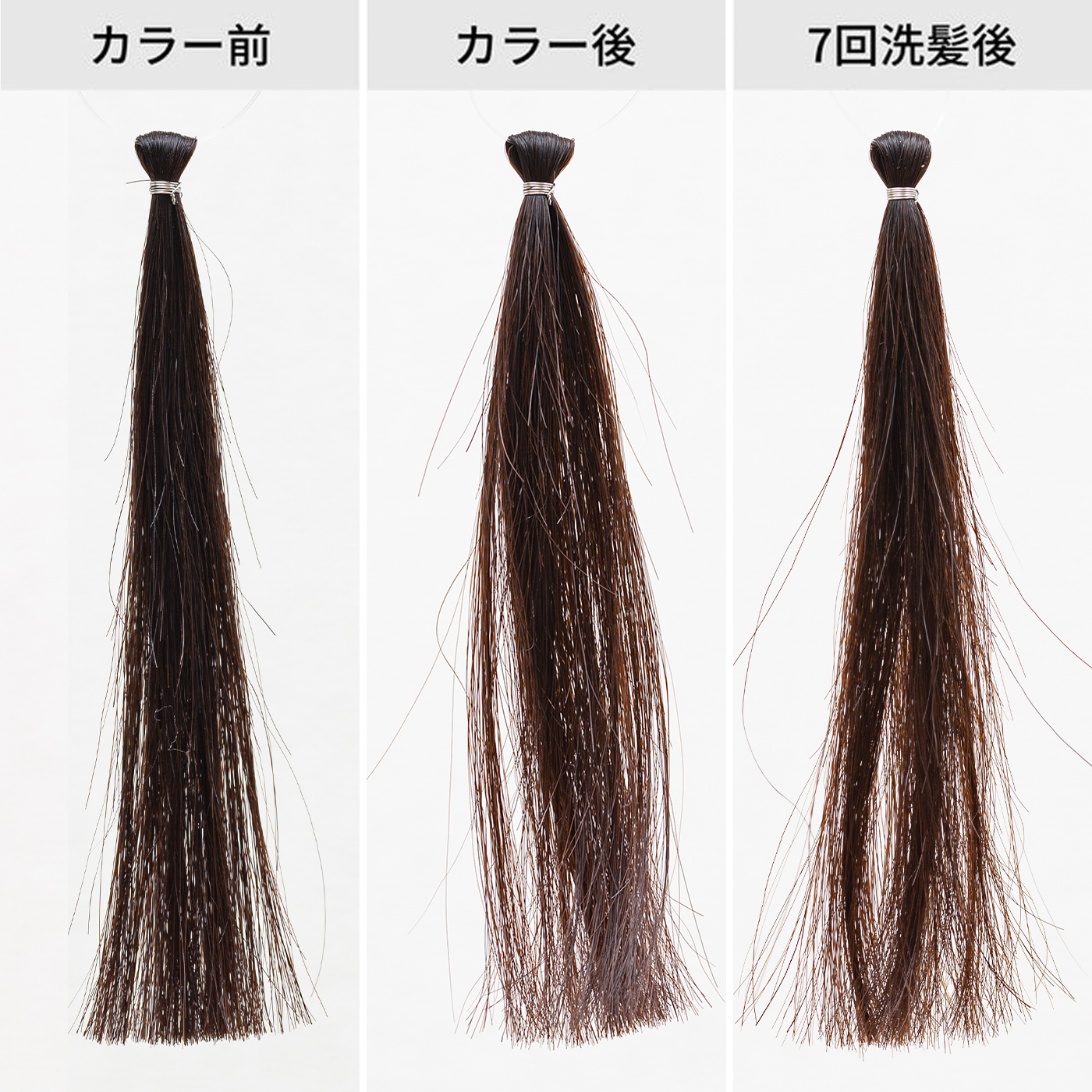 エブリ ヘアカラー エレファントグレーを口コミ 評判をもとにレビュー 徹底検証 Mybest