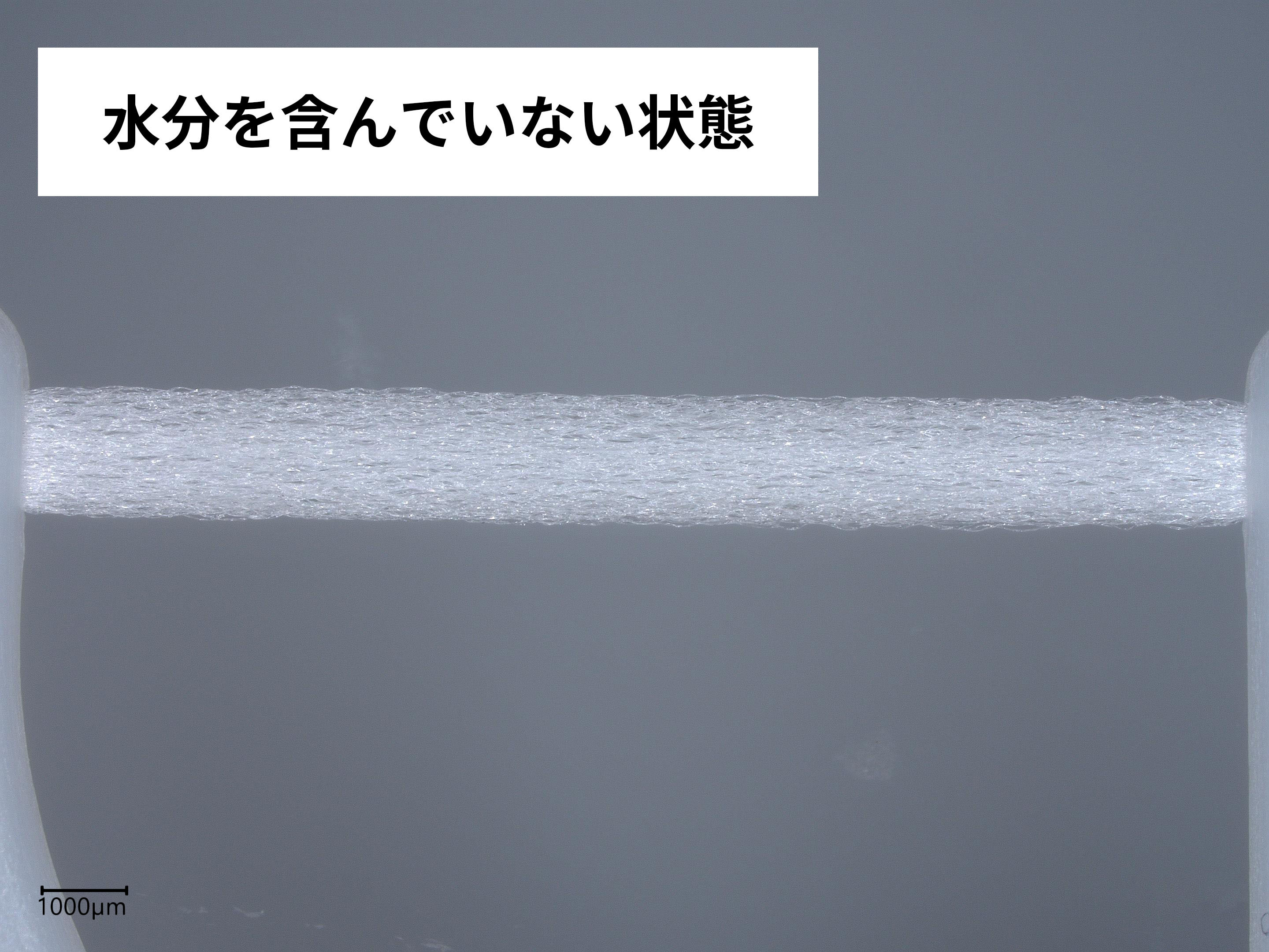 フレッシュ フロスピック 3