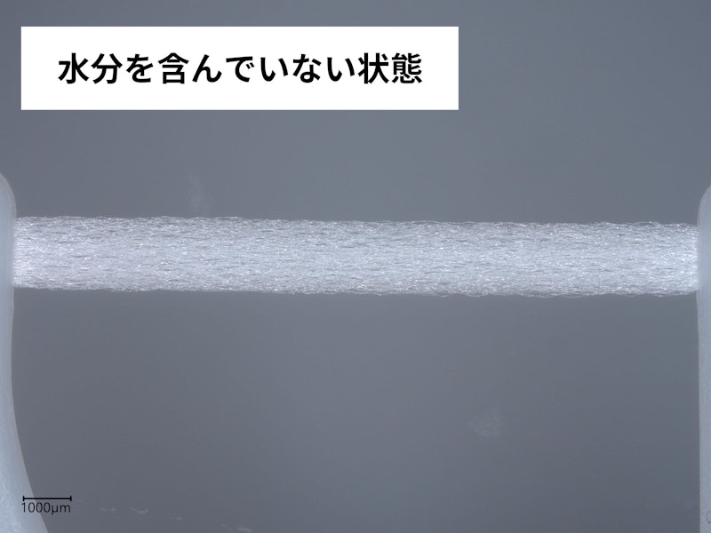 フレッシュ フロスピック 3