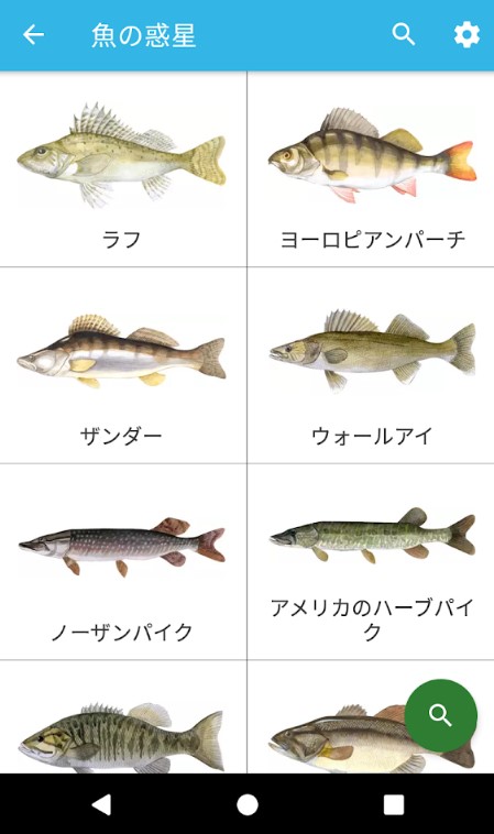 魚の惑星 4