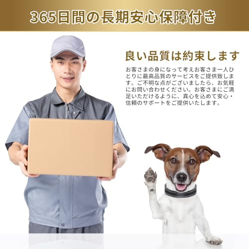 犬用リード 5