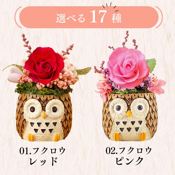 プリザーブドフラワー スイーツ セット  3