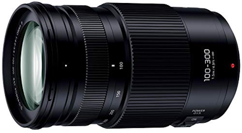 LUMIX G VARIO 100-300mm/F4.0-5.6 II/POWER O.I.S. 1