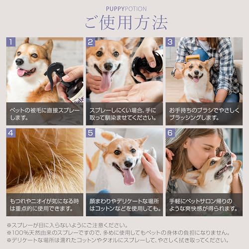 Puppy Potion 6