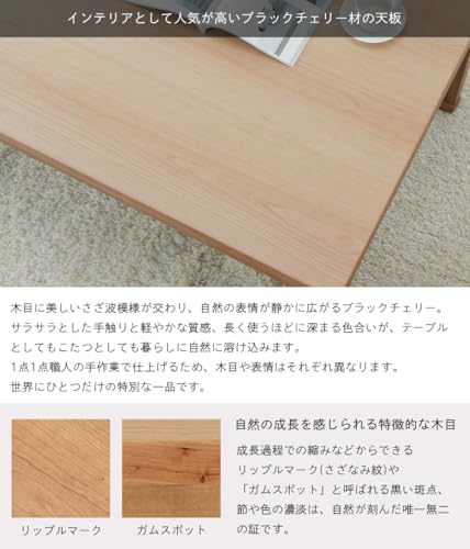 こたつ 5