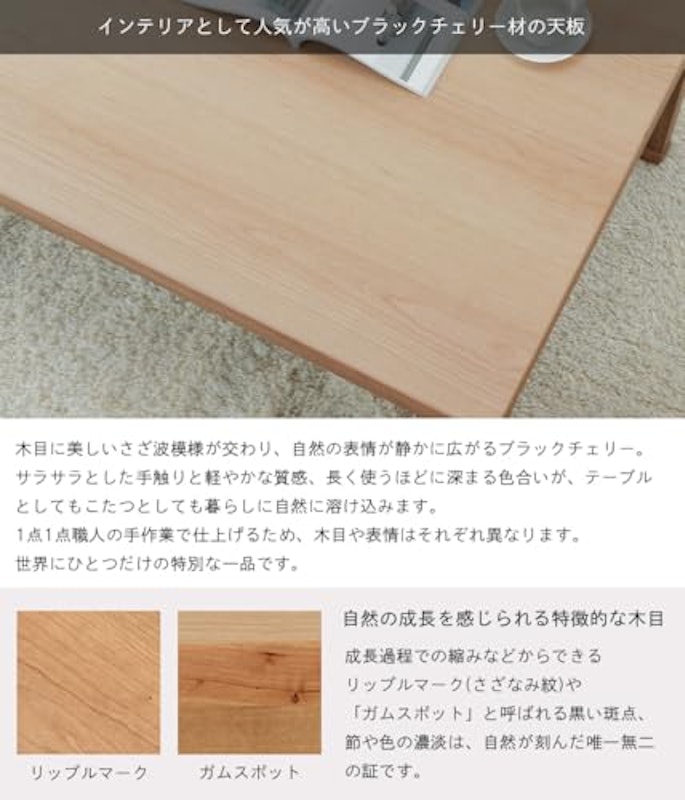 こたつ 5