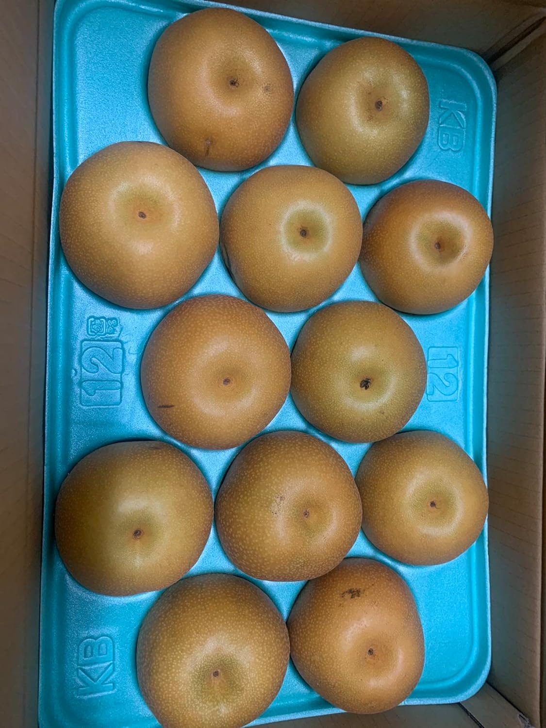 市川産 豊水梨 1