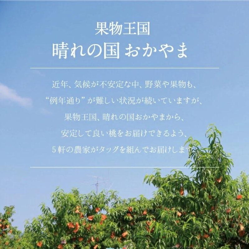 岡山白桃 2