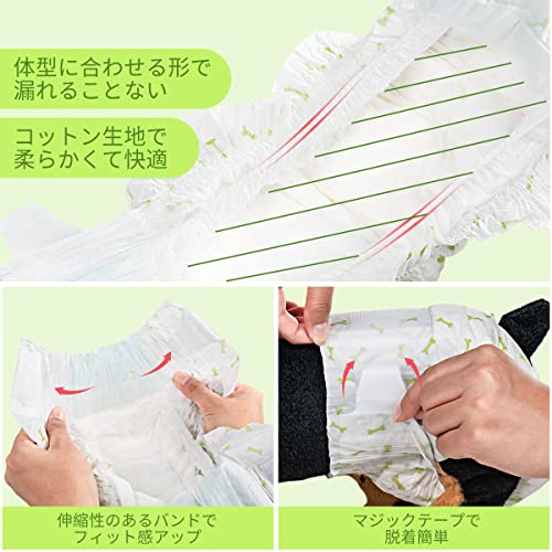犬用おむつ 3