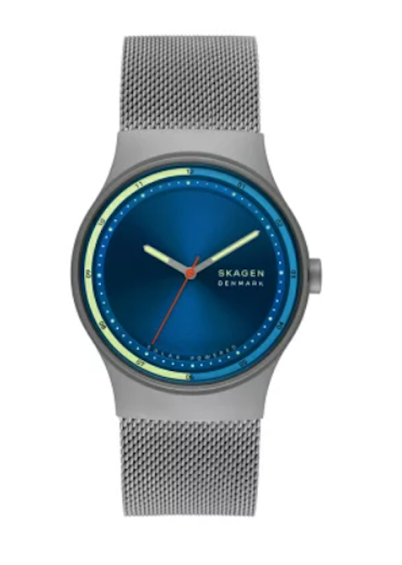 スカーゲン 腕時計 1250個限定モデル  値段交渉可能腕時計(アナログ)