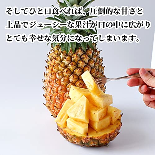 沖縄県産ゴールドバレル 5