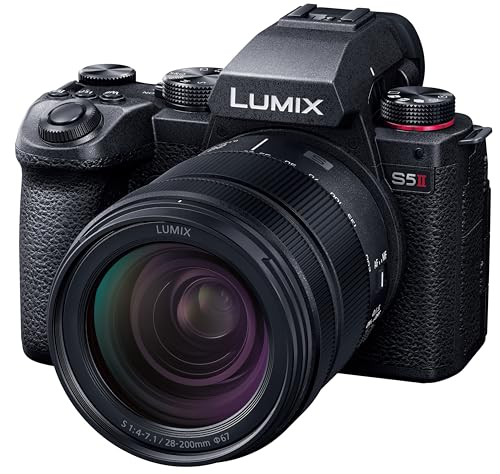 パナソニック LUMIX（ルミックス）のミラーレスのおすすめ人気