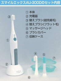 超音波歯ブラシ スマイルエックス AU-300D グレー 替えブラシ3パック付】超音波歯ブラシ スマイルエックス AU