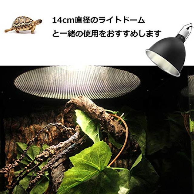 22年 亀用紫外線ライトのおすすめ人気ランキング5選 Mybest 22年 亀用紫外線ライトのおすすめ人気ランキング5選 Mybest