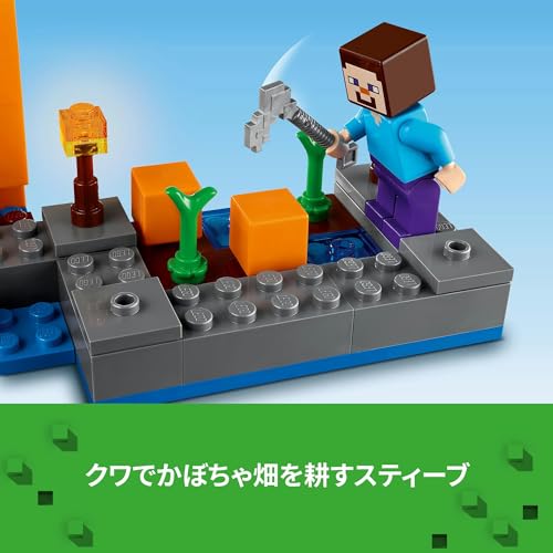 かぼちゃ畑 7