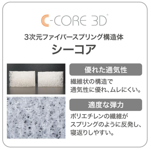 Nスリープ プラスエア 2