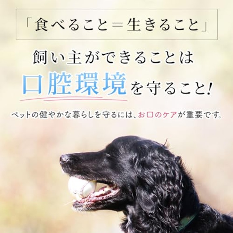 バイオペースト ルース 2