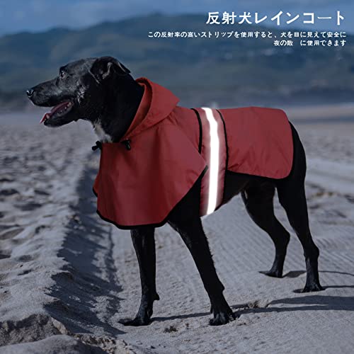 犬レインコート 5