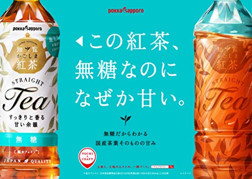 かごしま知覧紅茶 無糖 2
