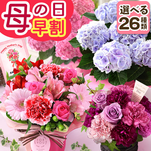 母の日向けお花プレゼントのおすすめ人気ランキング【2026年4月】 5