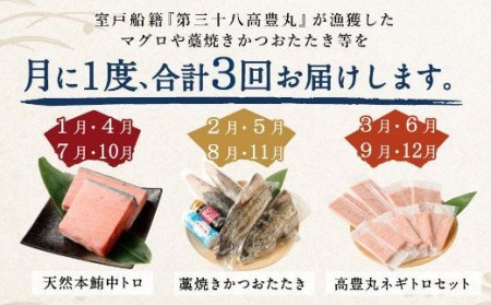 定期便3回 海からの贈り物 2