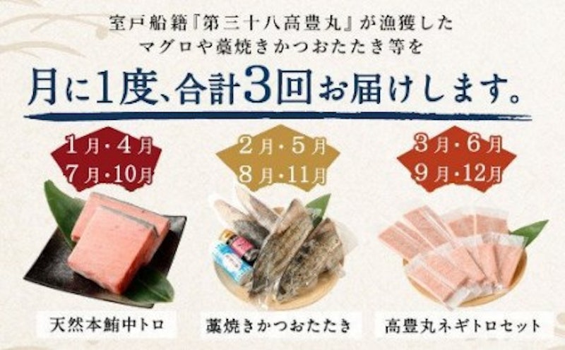 定期便3回 海からの贈り物 2