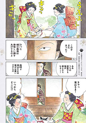 猫奥 3