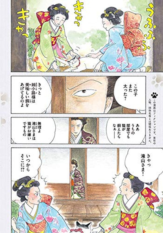 猫奥 3