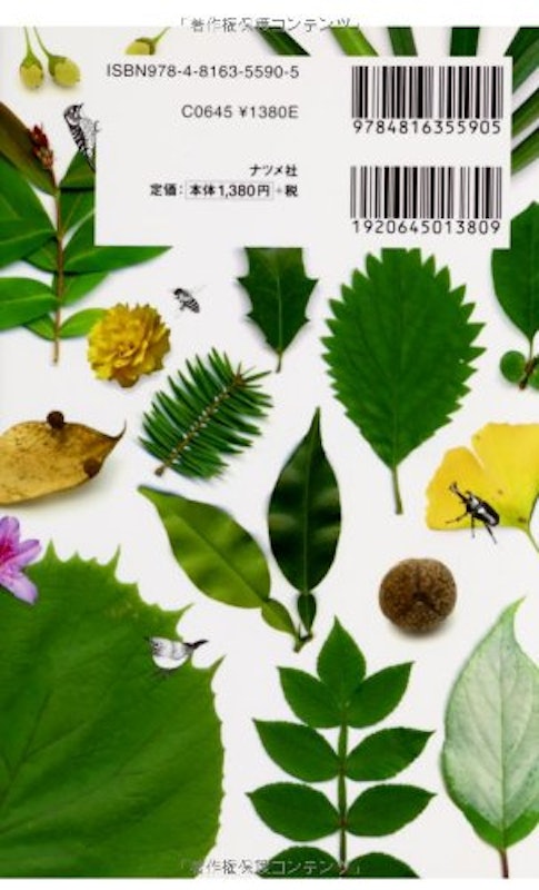 葉っぱで見わけ五感で楽しむ樹木図鑑 2