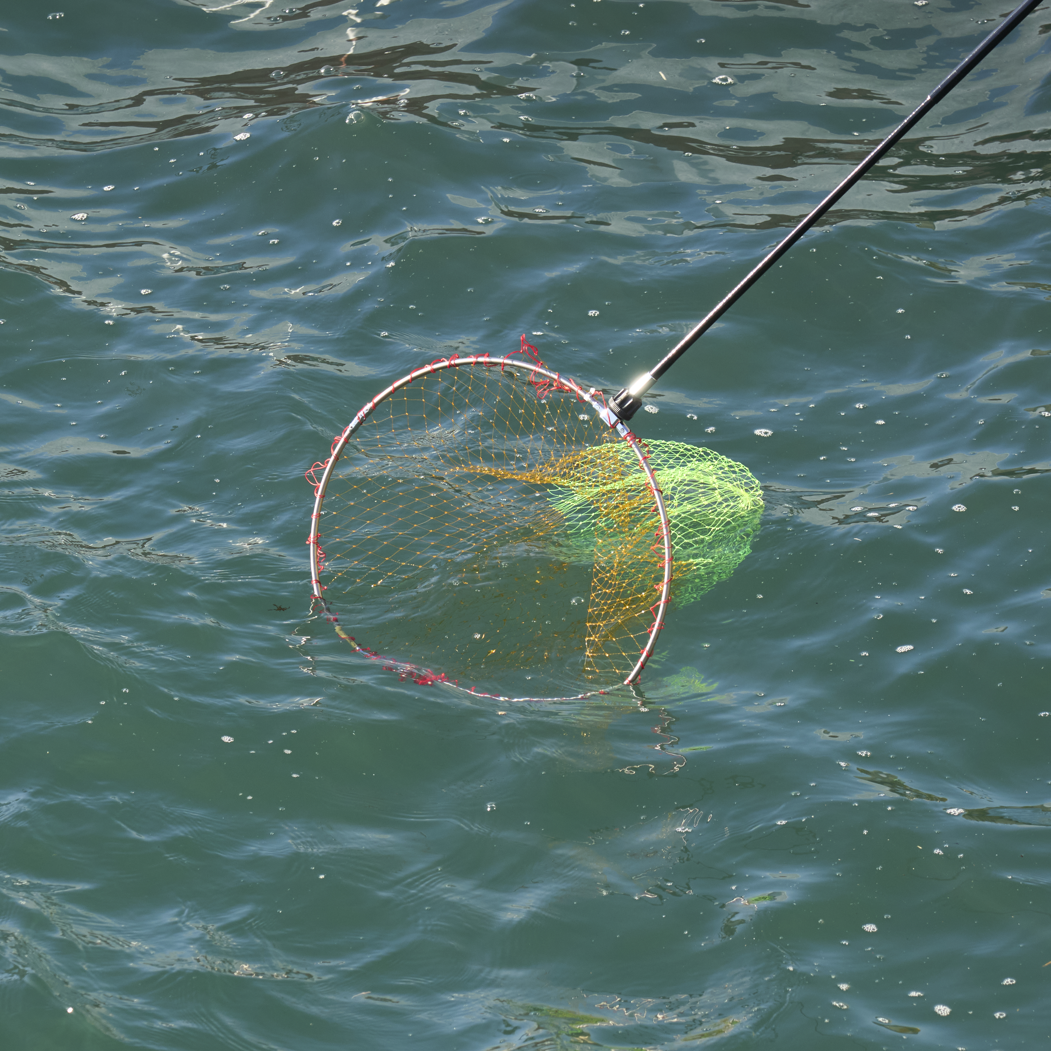 ダイワ ランディングポール2 磯玉網をレビュー！クチコミ・評判をもと