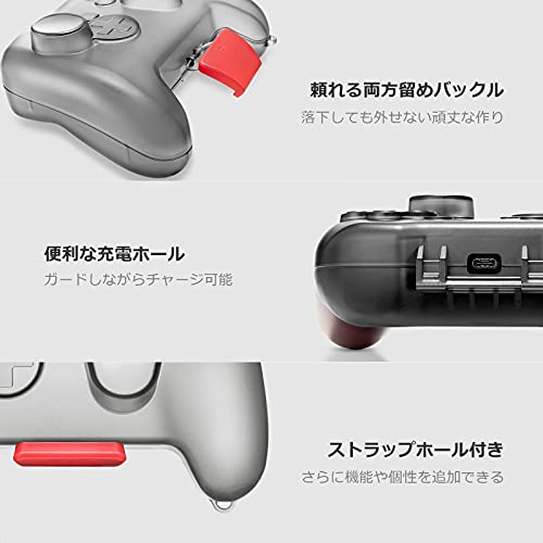 プロコントローラーケース 4