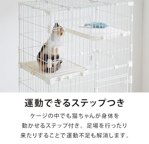 キャットケージ 5