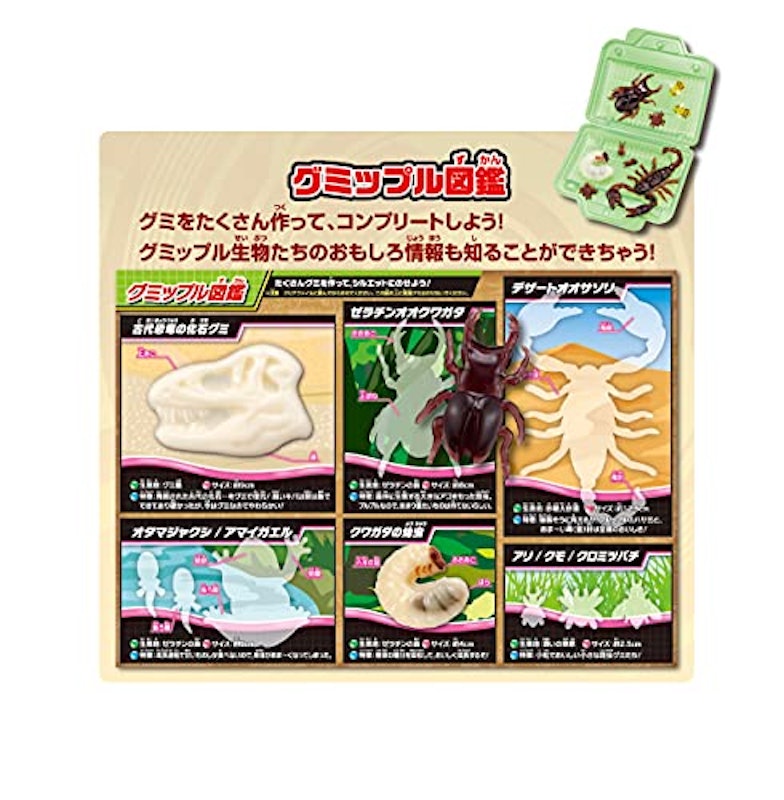 グミップルラボ 研究発表DX 6