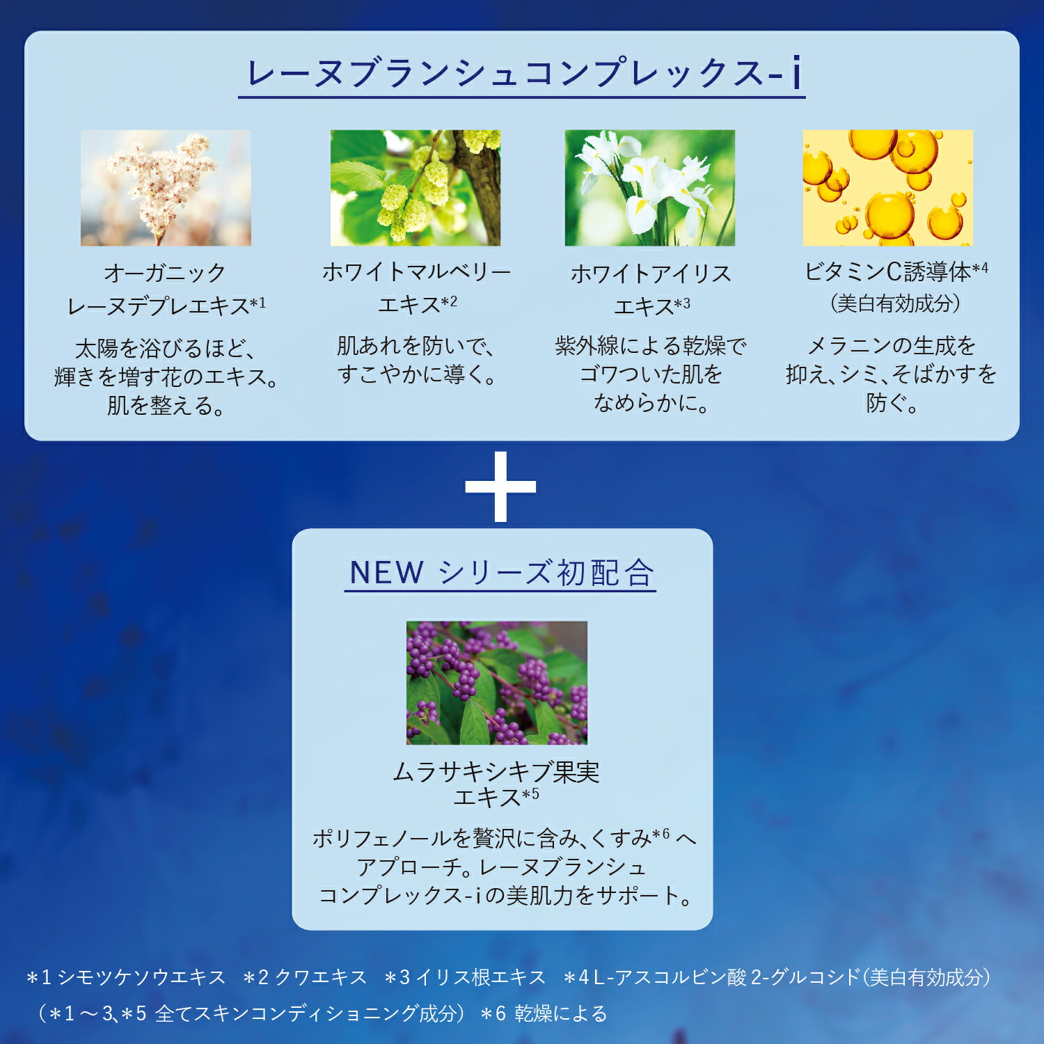 レーヌブランシュ ターゲティッドナイトコンセントレート 3