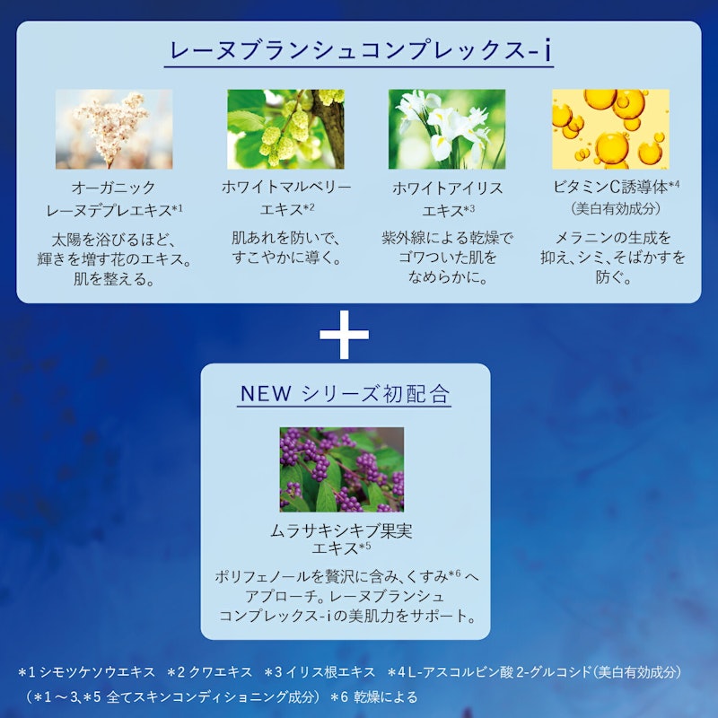 レーヌブランシュ ターゲティッドナイトコンセントレート 3