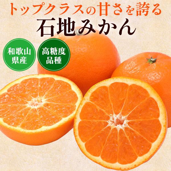 石地みかん 2