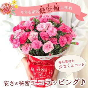 母の日 選べる花鉢 2