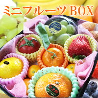 岡山果物工房 ミニフルーツBOX 1