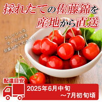 佐藤錦 秀 L以上 バラ詰 2