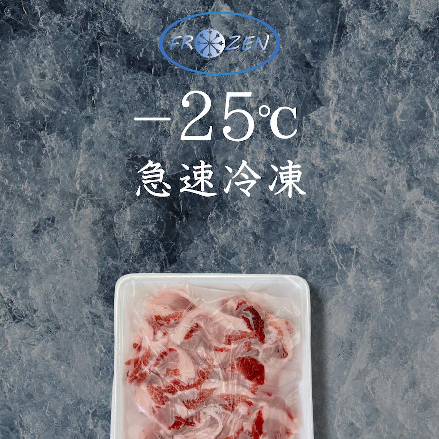 三代目本多 国産豚ロースしゃぶしゃぶ用薄切りスライス 10