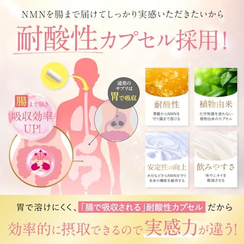NMN サプリメント 5