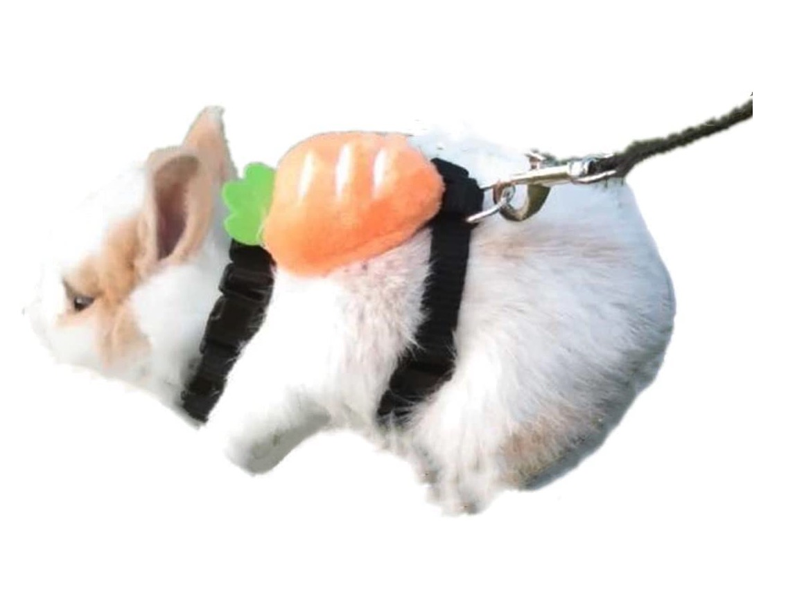 小動物用ハーネス 1